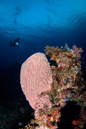 Bali, Tulamben