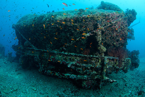 Thistlegorm