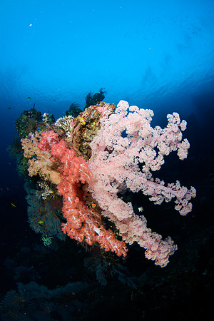 Bali, Tulamben