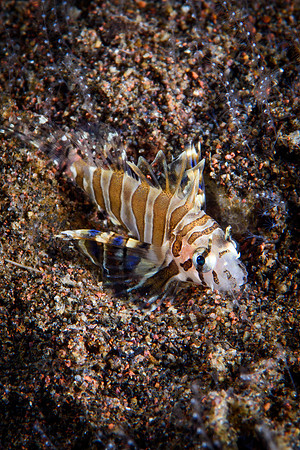 Tulamben