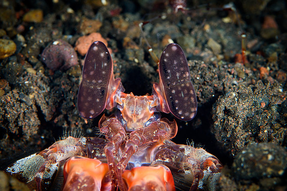 Tulamben