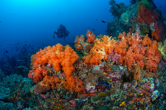 Bangka Island, North Sulawesi, Indonesia 2024