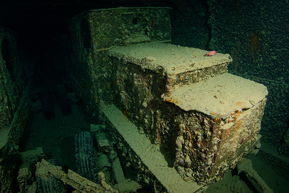 Thistlegorm
