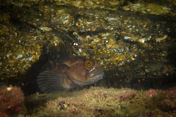 Lysekil October 2021