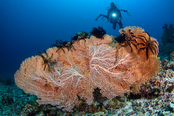 Bangka Island, North Sulawesi, Indonesia 2024