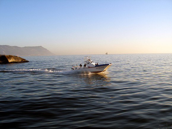 Trip to the Agulhas Current with Mako and blue Shark