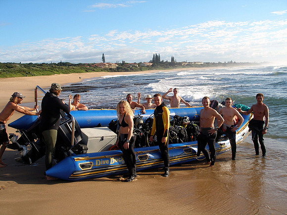 Bull sharks Dive at Protea Banks