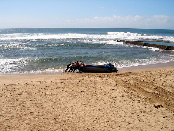 Bull sharks Dive at Protea Banks