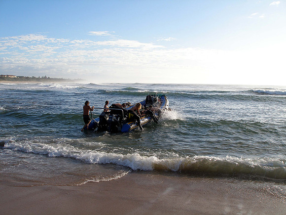 Bull sharks Dive at Protea Banks