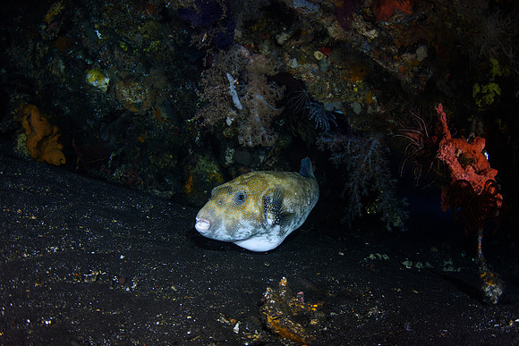 Tulamben