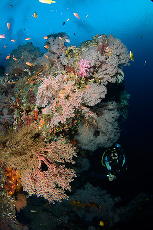 Bali, Tulamben