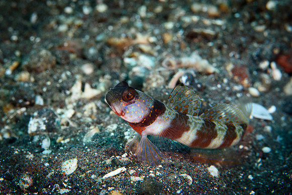 Tulamben