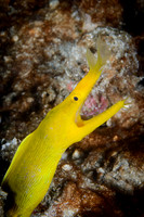 Lombok, Seahorse Bay