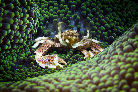 Tulamben
