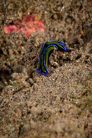 Bali, Tulamben