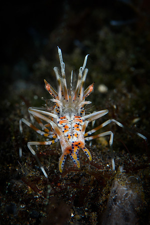 Tulamben