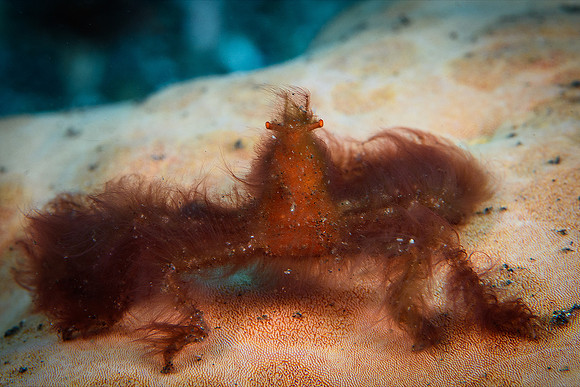 Tulamben