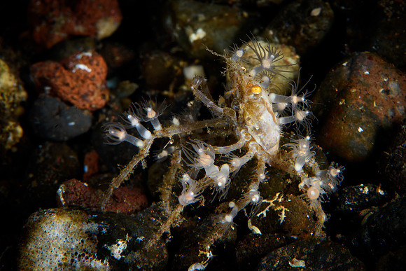 Tulamben