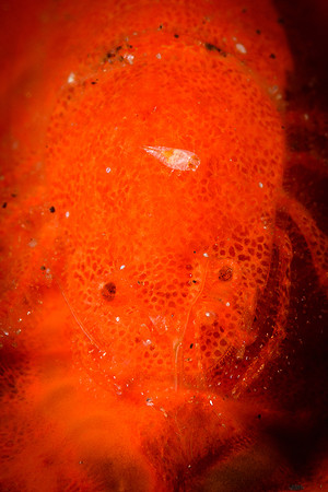Tulamben