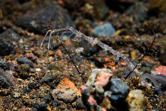 Tulamben