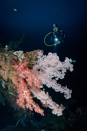 Bali, Tulamben