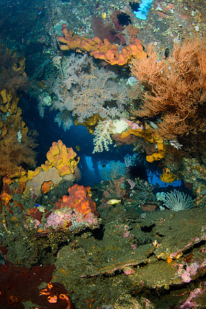 Bali, Tulamben
