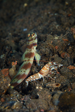 Bali, Tulamben