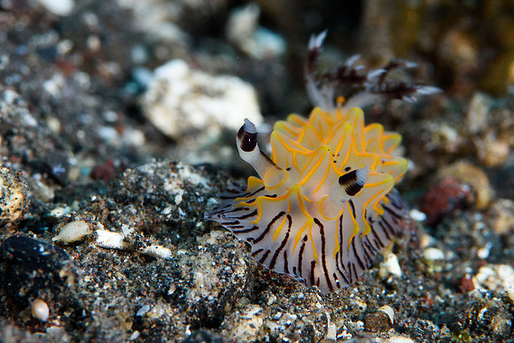 Tulamben