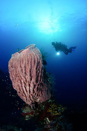 Tulamben