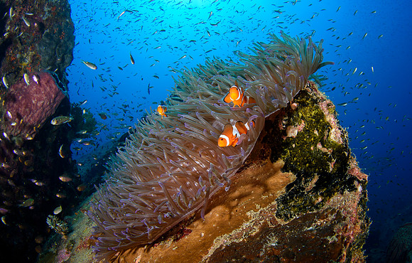 Light House, Redang Island, Malaysia 2025