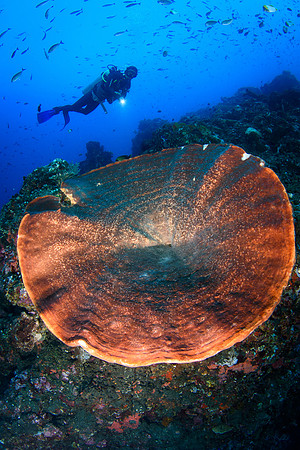 Tulamben