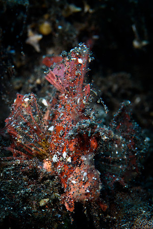 Tulamben