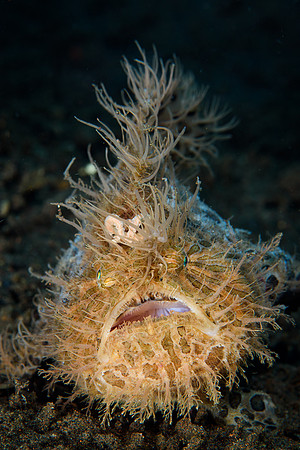 Tulamben