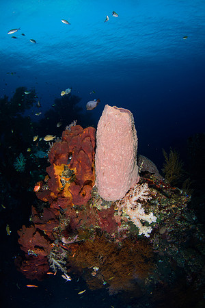 Bali, Tulamben