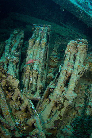 Thistlegorm