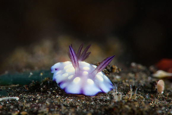 Tulamben