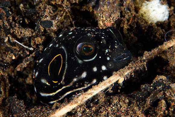 Tulamben