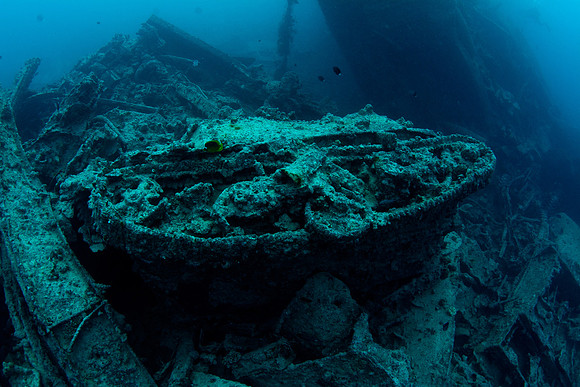 Thistlegorm