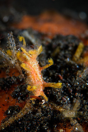 Tulamben