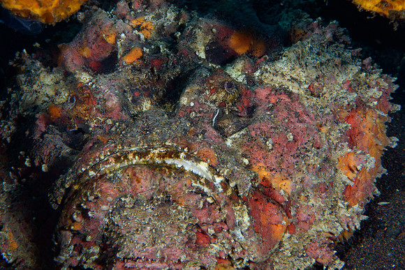 Tulamben