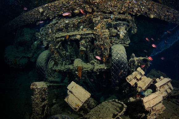 Thistlegorm