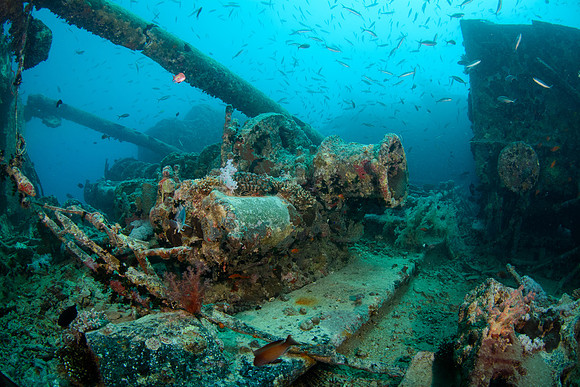 Thistlegorm