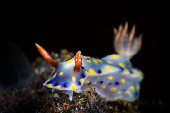 Tulamben