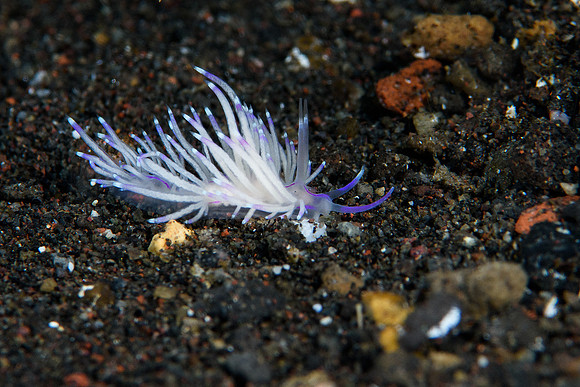 Tulamben