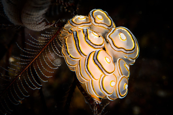 Tulamben