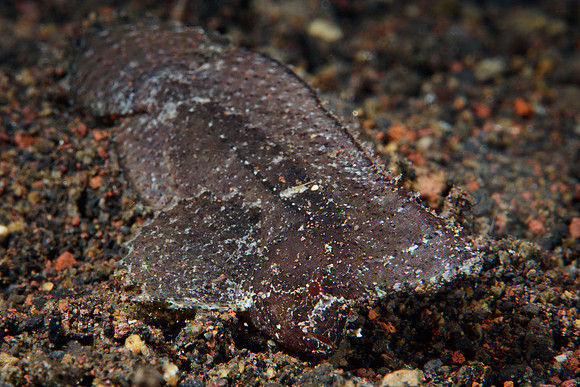 Tulamben