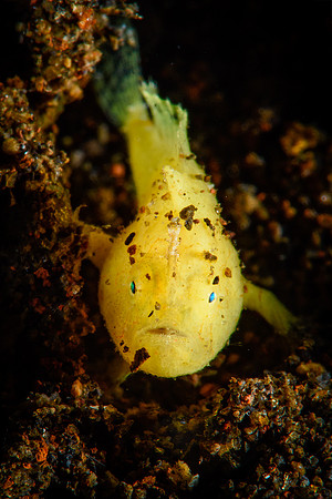 Tulamben