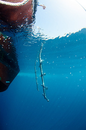 Thistlegorm