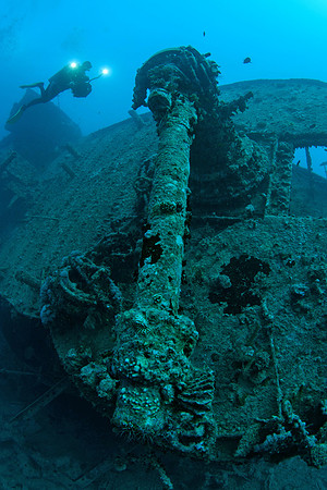 Thistlegorm
