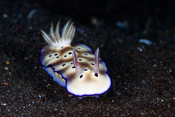 Tulamben